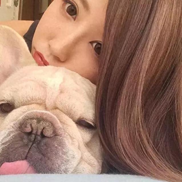 法国斗牛犬的5大缺点，劝你最好别养！