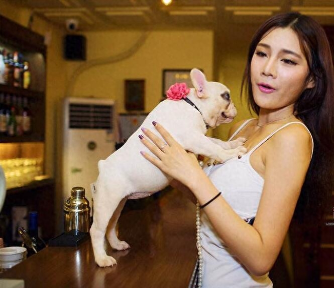 法国斗牛犬的5大缺点，劝你最好别养！