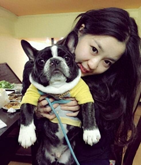 法国斗牛犬的5大缺点，劝你最好别养！