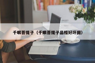 ​千眼菩提子（千眼菩提子品相好坏图）