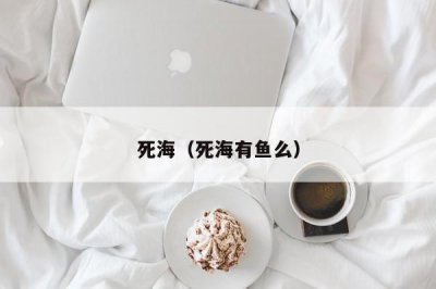 ​死海（死海有鱼么）
