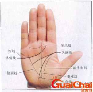 ​命运线是什么意思？命运线是什么？