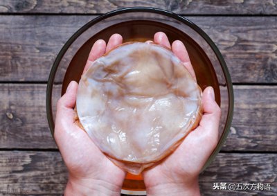 ​揭开“红茶菌”的神秘面纱