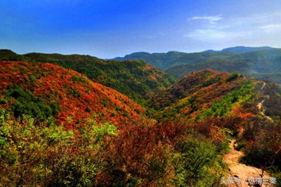 ​观赏红叶正当时，一起围观陕西铜川香山红叶红满天