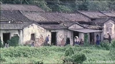 ​你还记得《山村老尸》中的楚人美吗？写给想看又不敢看的童鞋们