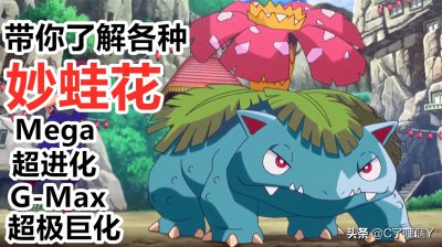 ​你不知道的 妙蛙花 各种进化形态到底哪款强