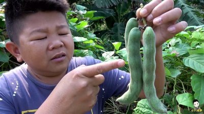 ​名字有趣还好吃的农家豆-狗儿豆