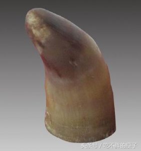 ​犀角不敢烧，燃之有异香，沾衣带，人能与鬼通