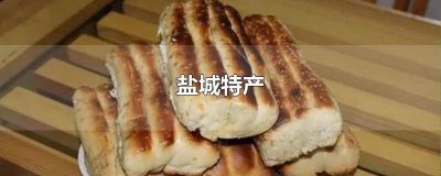 ​盐城特产有哪些土特产图片歌词窗外的雨敲打 盐城特产有哪些土特产图片及价格