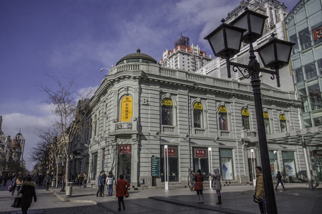 果戈里大街是哈尔滨的一条街道名，位于南岗区中部