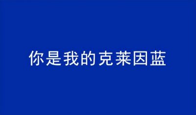 ​克莱因蓝代表什么寓意（你是我的克莱因蓝是什么梗）