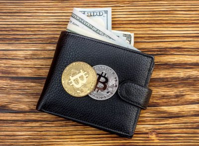 ​wallet是什么意思？和 purse 有什么区别？