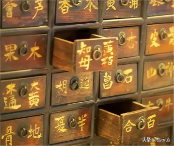 ​泡蛇酒（蛇泡酒1年，开瓶后反被咬一口，为何高度白酒杀不死毒蛇？）