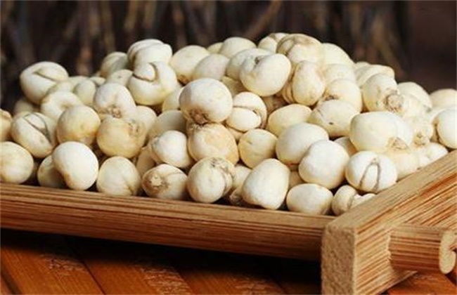 ​贝母是什么东西（川贝母和平贝母的区别是什么）