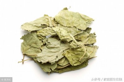 ​干桑叶泡水喝的功效和作用（除火解温  缓解风寒感冒）