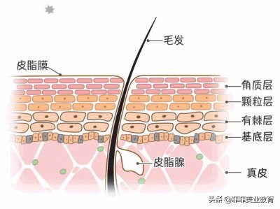 ​脸上老长痘痘怎么办最快最有效（脸老是长痘痘怎么办？平常注意五个生活习惯痘