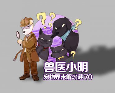 ​小猫喜欢咬人手是什么原因（小猫喜欢咬人怎么办,又抓又咬）