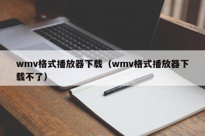 ​wmv格式播放器下载（wmv格式播放器下载不了）