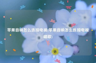 ​苹果音响怎么连接电视(苹果音响怎么连接电视唱歌)