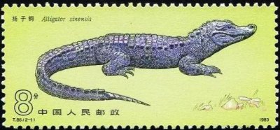 ​鄂是哪个省的简称(湖北为什么简称“鄂”？)