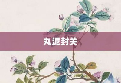 ​丸泥封关