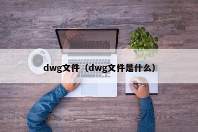 ​dwg文件（dwg文件是什么）