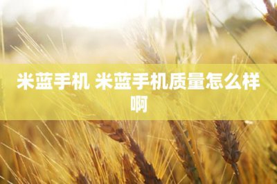 ​周生如故小说原著(周生如故番外一：周生辰苦守时宜)