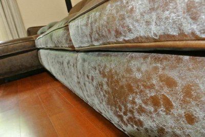 ​选真皮沙发要注意事项 选真皮沙发还是布艺沙发