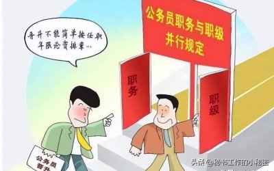 ​研究生毕业就是四级主任科员？这可真不一定！