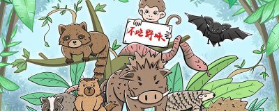 ​蝙蝠是鸟类吗 蝙蝠是鸟类吗教案