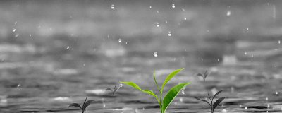 ​雨衣发霉怎么洗掉霉斑 去掉黑点最自然的方法