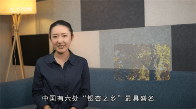 ​千年银杏之乡 中国银杏之乡在哪里啊