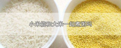 ​大米和小米能不能一起煮粥 大米和小米能不能一起煮粥吃