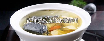 ​花旗参煲鸡汤有什么功效 花旗参老鸡汤汤的功效与作用及禁忌