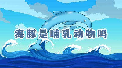 ​海马是哺乳动物吗百科 海马是什么动物是不是哺乳