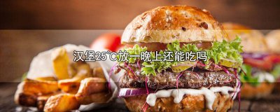 ​汉堡放一晚上可以吃吗 汉堡放一夜还能吃么