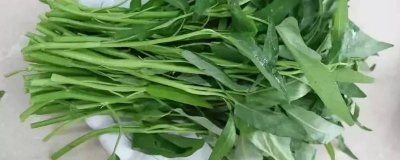 ​空心菜怎么摘洗 空心菜处理方法