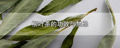 ​喝柳叶茶有什么好处和坏处 柳叶茶的好处
