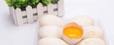 ​吃鹅蛋忌什么食品 鹅蛋哪些人不能吃鹅蛋怎么吃最好