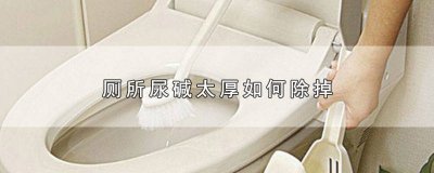 ​马桶里尿碱太厚怎么除小苏打 如何清除马桶里的尿碱
