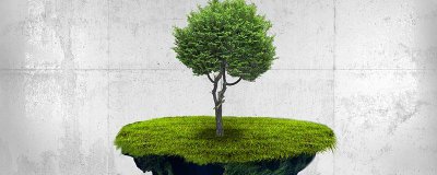​树上结的像毛毛虫一样是什么 树上结的像毛毛虫一样是什么树木