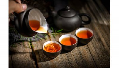 ​单枞茶是哪里的 单枞 什么茶