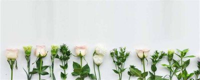 ​关于炎热的文案 夏天天气炎热文案