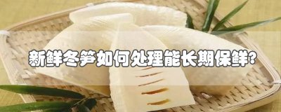 ​新鲜冬笋怎样长期保存不坏 新鲜冬笋怎样长期保存最好