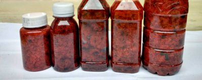 ​曼陀罗花泡酒的功效与作用图片 曼陀罗泡酒外用功效与副作用