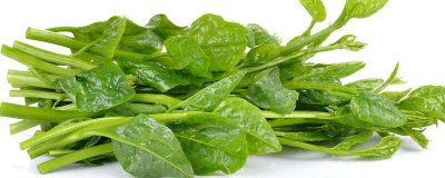 ​木耳菜跟豆腐可以一起吃吗早餐 木耳菜跟豆腐可以一起吃吗宝宝