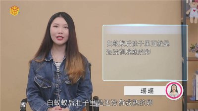 ​什么情况下会生白蚁 白蚁的蚁后是怎么产生的