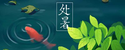 ​暑伏可以种什么菜和水果 暑伏能种什么菜