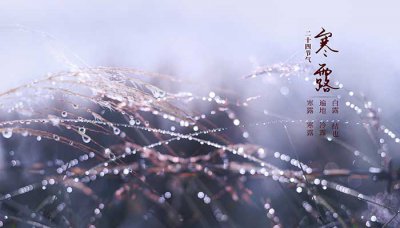 ​寒露节气的含义是什么? 寒露是什么节气有哪些说法