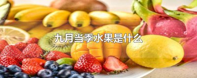 ​九月初什么水果当季 九月底当季水果